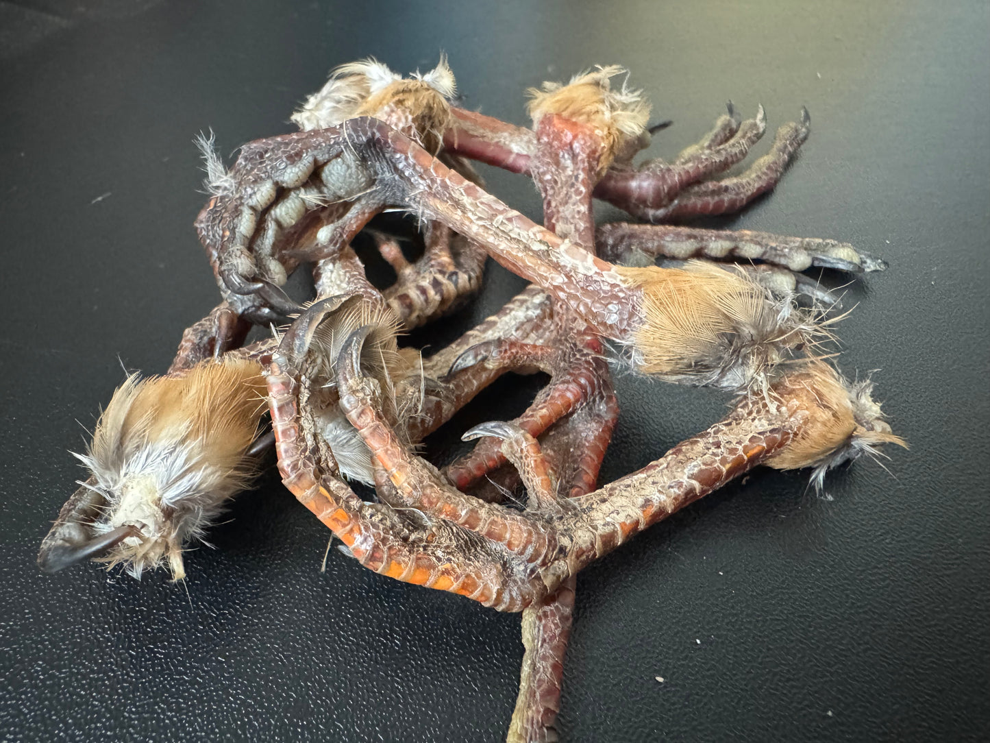 100% natural dehydrated Scottish Partridge feet