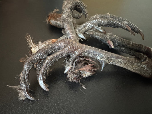 100% natural dehydrated Scottish Pheasant feet.
