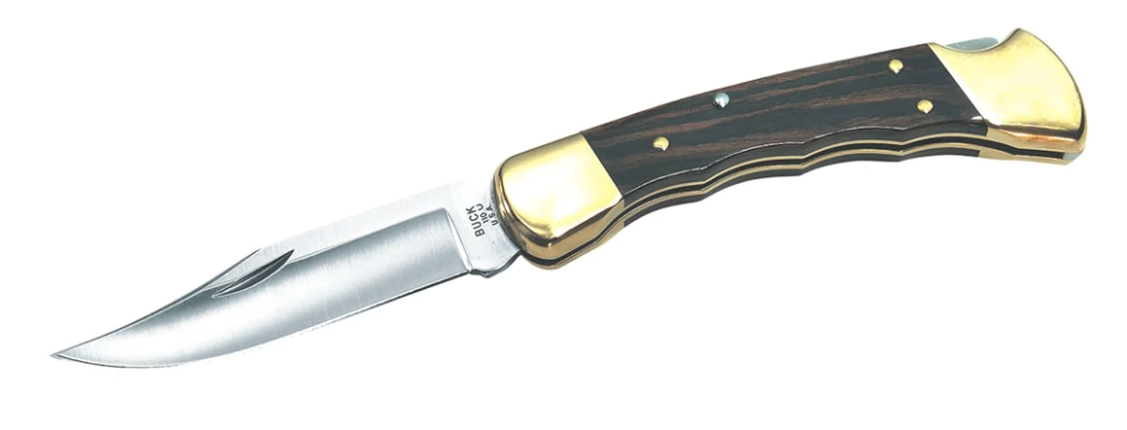 Buck 110 Folding Hunter® Knife