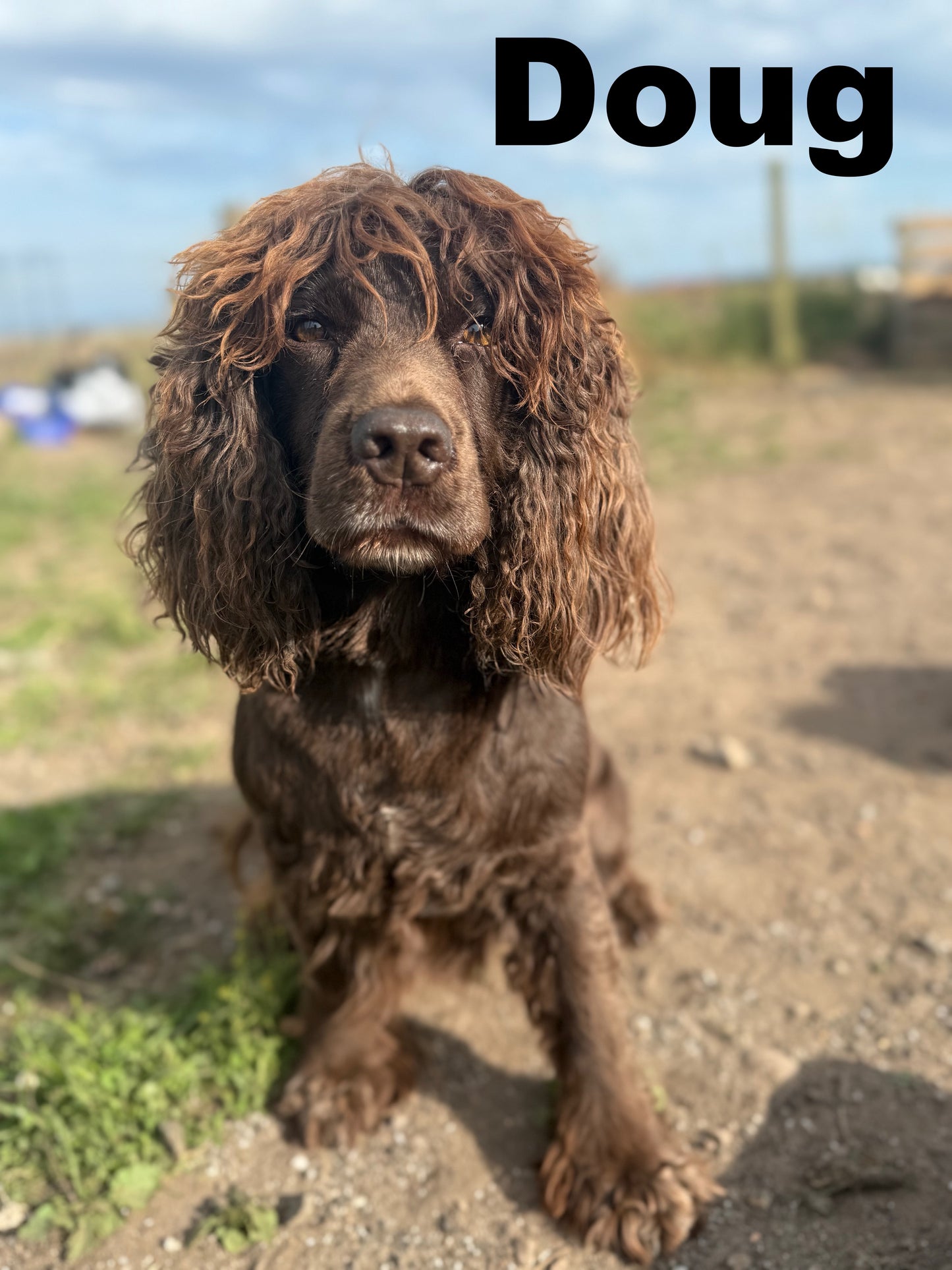 Doug - Annual Sponsorship