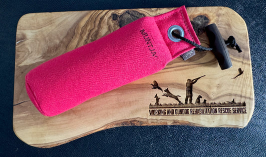 Mystique 250g (1/2lb) training dummy