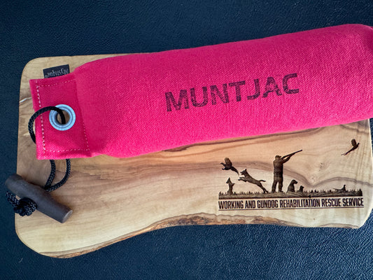 Mystique 500g (1.1lb) training dummy