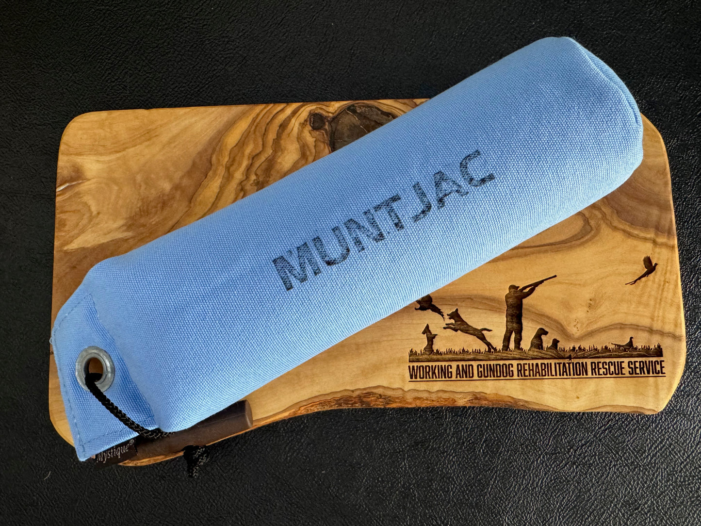 Mystique 500g (1.1lb) training dummy