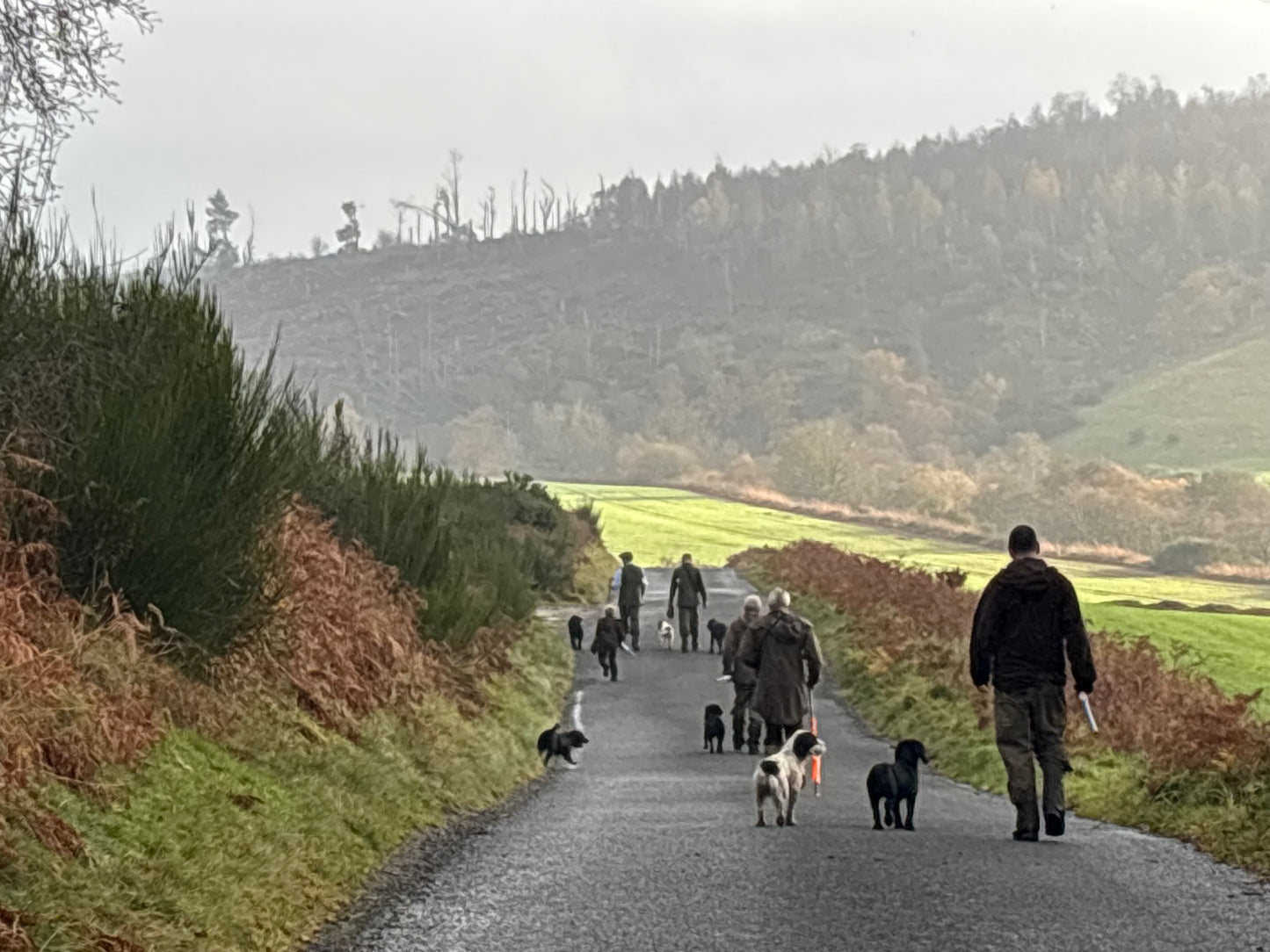 1 hour interactive session