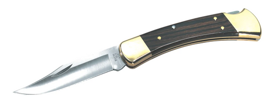 Buck 110 Folding Hunter® Knife